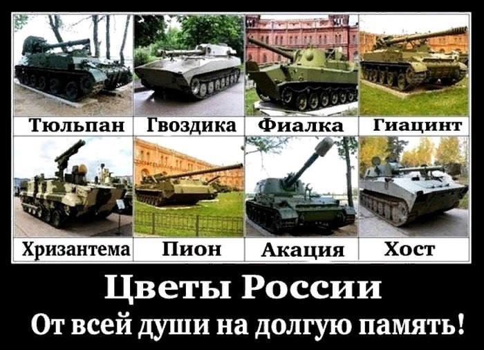 Милитари-нейминг — почему у российского вооружения «весёлые» названия