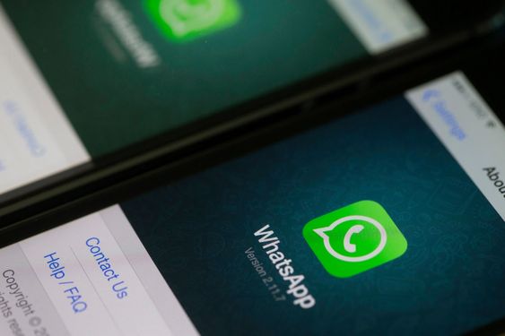Бизнес в WhatsApp: подключение, рассылки, общение